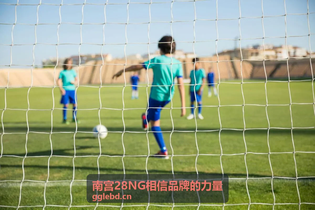 南宫28NG相信品牌的力量 售后回访记录配图